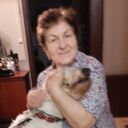  ,   , 65 ,   ,   