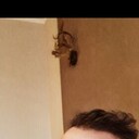 ���������� ��������, ���� ������� Ruslan, 40 ���, ������������ ��� ������, ����� � ���������