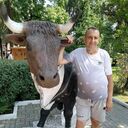  ,   ϸ, 44 ,   ,   , c 