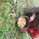 ���������� �����, ���� ������� �������, 53 ����, ������������ ��� ������, ����� � ���������, c�������� ���������