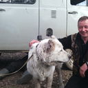  -,   , 50 ,   ,   , c 