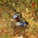 ���������� �����, ���� ������� ���������, 37 ���, ������������ ��� ������, ����� � ���������, c�������� ���������