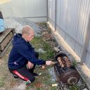 ���������� ���������, ���� ������� ���������, 37 ���, ������������ ��� ������, ����� � ���������, c�������� ���������