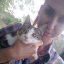 ���������� ������, ���� ������� Sweet_Tooth, 26 ���, ������������ ��� ������, ����� � ���������, c�������� ���������, ���������