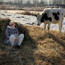 ���������� �����������, ���� ������� �����, 44 ����, ������������ ��� ����� � ���������, c�������� ���������