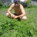 ���������� ����-�����������, ���� ������� �����, 36 ���, ������������ ��� ����� � ���������, c�������� ���������