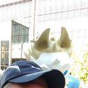 ���������� ������, ���� ������� �������, 60 ���, ������������ ��� ����� � ���������, c�������� ���������