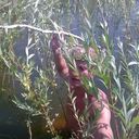 ���������� ��������, ���� ������� ��������, 44 ����, ������������ ��� ������