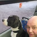  ,   , 40 ,     , c 