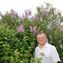  ,   , 61 ,   c , 
