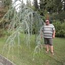  ,   , 51 ,     , c 