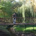 ���������� ������-��-����, ���� ������� �������, 43 ����, ������������ ��� ������, ����� � ���������, c�������� ���������