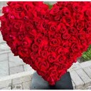 ���������� ���������, ���� ������� �����, 60 ���, ������������ ��� ������, ����� � ���������