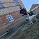  --,   , 56 ,   ,   , 