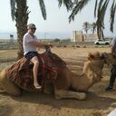 ���������� ����, ���� ������� �����, 36 ���, ������������ ��� ������, ����� � ���������