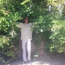 ���������� �����, ���� ������� �������, 43 ����, ������������ ��� ������, ����� � ���������, c�������� ���������