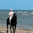 ���������� ��������, ���� ������� ���, 28 ���, ������������ ��� ������, ����� � ���������