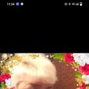  ,   , 55 ,   ,   , c 