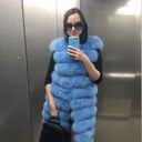  --,   , 37 ,     , c 