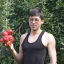 ���������� ����, ���� ������� ����, 57 ���, ������������ ��� ����� � ���������, c�������� ���������