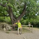 ���������� ��������, ���� ������� ������, 46 ���, ������������ ��� ����� � ���������, c�������� ���������, ���������