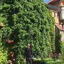  ,   , 39 ,   ,   , c 