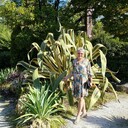  ,   , 65 ,  