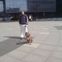 ���������� �������, ���� ������� �����, 38 ���, ������������ ��� ����� � ���������, c�������� ���������