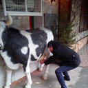 ���������� ������, ���� ������� �������, 39 ���, ������������ ��� ������, ����� � ���������, c�������� ���������