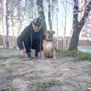 ���������� �����������, ���� ������� �����, 47 ���, ������������ ��� ����� � ���������, c�������� ���������, ���������