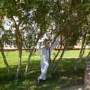 ���������� ������, ���� ������� ����, 40 ���, ������������ ��� ������, ����� � ���������