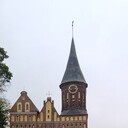 ���������� �����������, ���� ������� Anton, 42 ����, ������������ ��� ����� � ���������, c�������� ���������