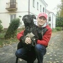 ���������� ������, ���� ������� Saulus, 48 ���, ������������ ��� ������, ����� � ���������, c�������� ���������, ���������