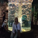 ���������� �����-���������, ���� ������� ����, 51 ���, ������������ ��� ������, c�������� ���������, ���������