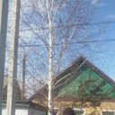  ,   , 56 ,     , c 