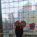 ���������� ������, ���� ������� ����, 36 ���, ������������ ��� c�������� ���������