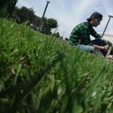 ���������� ���������, ���� ������� ������, 26 ���, ������������ ��� ������, ����� � ���������, c�������� ���������