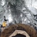 ���������� ������ ��������, ���� ������� ���������, 33 ����, ������������ ��� ������, ����� � ���������, ���������