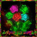 ���������� ��������, ���� ������� �������, 37 ���, ������������ ��� c�������� ���������, ���������