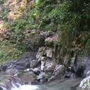 ���������� ����, ���� ������� ������, 45 ���, ������������ ��� ������, ����� � ���������, c�������� ���������, ���������