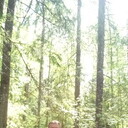 ���������� �����-���������, ���� ������� ���������, 60 ���, ������������ ��� ����� � ���������, c�������� ���������