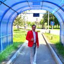  ,   , 33 ,   ,   , c , 