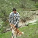 ���������� ������������, ���� ������� �����, 41 ���, ������������ ��� ������