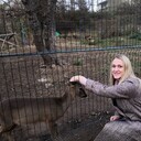 ���������� ������-��-����, ���� ������� ������, 42 ����, ������������ ��� ����� � ���������, c�������� ���������