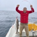 ���������� ���������, ���� ������� �����, 33 ����, ������������ ��� ������, ����� � ���������