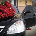 ���������� ������, ���� ������� ��������, 31 ���, ������������ ��� ������