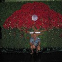 ���������� ������������, ���� ������� ��������, 47 ���, ������������ ��� ����� � ���������, c�������� ���������