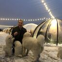 ���������� ������, ���� ������� Foxi, 43 ����, ������������ ��� c�������� ���������