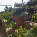  ,   , 56 ,   ,   , c , 