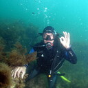 ���������� ������ ���, ���� ������� ���������, 49 ���, ������������ ��� ����� � ���������, c�������� ���������